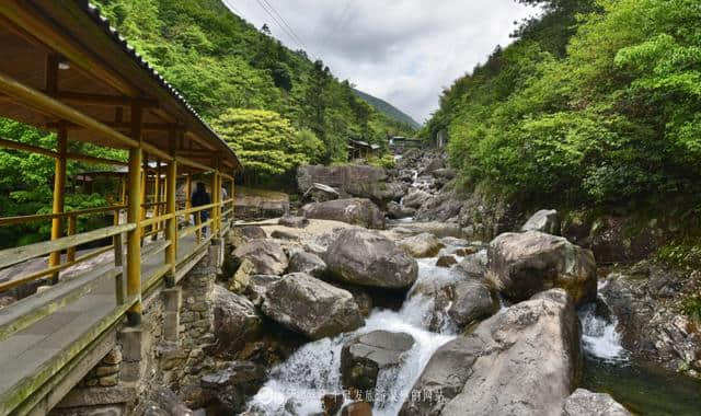 逃离城市的喧哗 探幽天目山