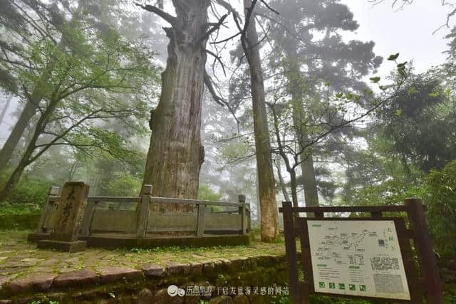 逃离城市的喧哗 探幽天目山