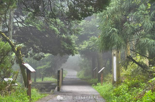 逃离城市的喧哗 探幽天目山