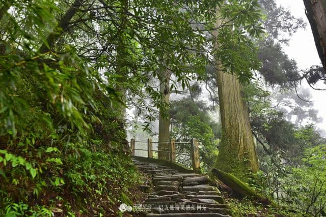 逃离城市的喧哗 探幽天目山