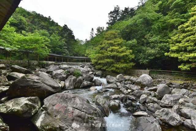 逃离城市的喧哗 探幽天目山