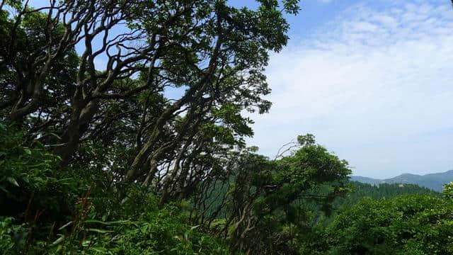 聚各景点之精华的“天台山”