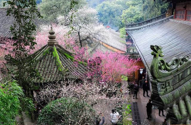 浙江台州天台山与舟山普陀山，同为5A级景区，哪个景区更值得来呢