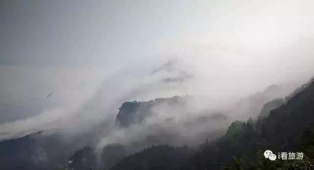 庐山烟雨浙江潮，不如来龙湾泡个汤