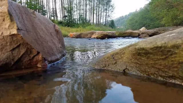 山美水秀不只是在信南，信北天目山绝对是景美花钱少的地方！