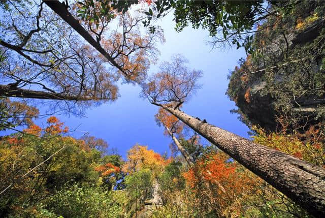 天目山 | 一座值得品读的文化名山