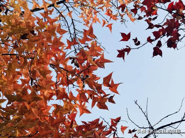 天平山景区位于苏州古城西南，是太湖国家风景名胜区的核心景区