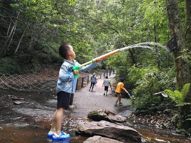 成都周边，避暑，玩水，采摘，带娃好去处，强烈推荐——天台山