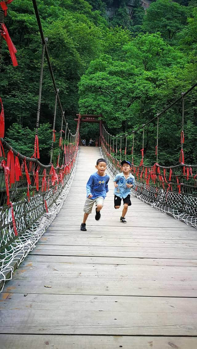 成都周边，避暑，玩水，采摘，带娃好去处，强烈推荐——天台山