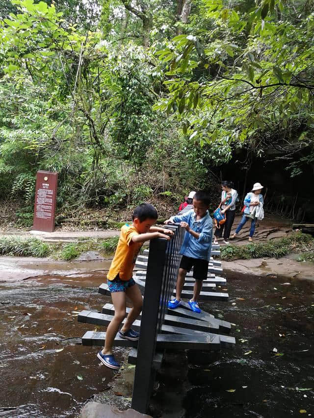 成都周边，避暑，玩水，采摘，带娃好去处，强烈推荐——天台山