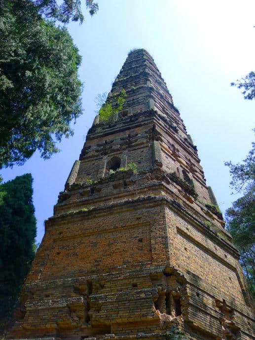 天台山，国清寺，与开宗祖师智者大师