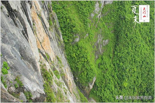 张家界天门山玩下来需要多久？天门山最佳旅游攻略