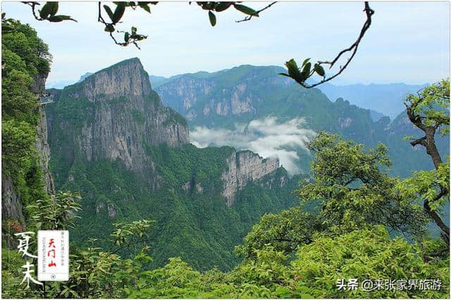 张家界天门山玩下来需要多久？天门山最佳旅游攻略