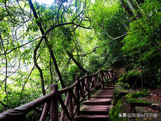 成都人避暑，首选目的地为邛崃天台山，只因十八里香草滑溪太刺激