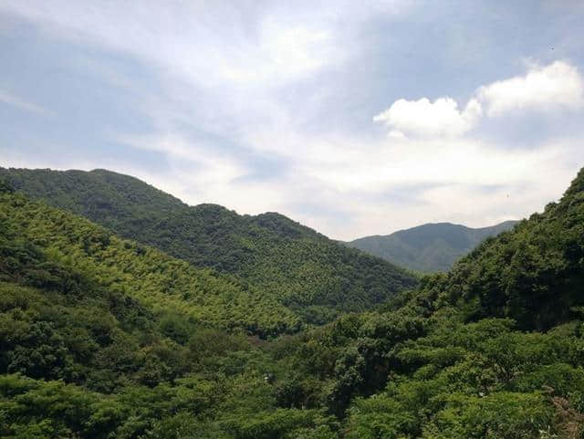 行走宁波大小盘山，探秘天童森林公园，赏山水美景，感受徒步魅力