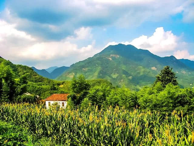 徐志摩笔下的天目山，电影《桃园春梦》的拍摄地，如今的避暑胜地