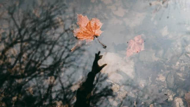 天气晚来秋