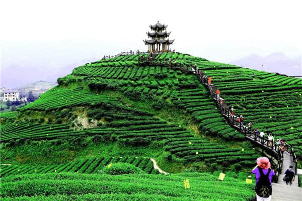 鹧鸪天-伍家台景区