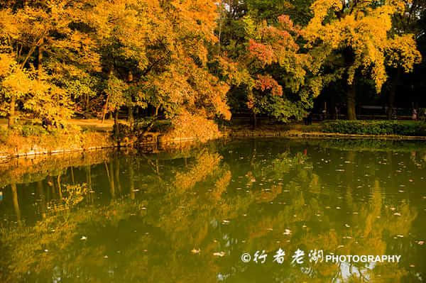 中国四大赏红叶胜地--苏州天平山