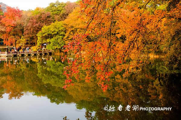 中国四大赏红叶胜地--苏州天平山