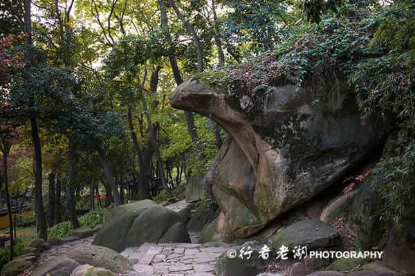 中国四大赏红叶胜地--苏州天平山