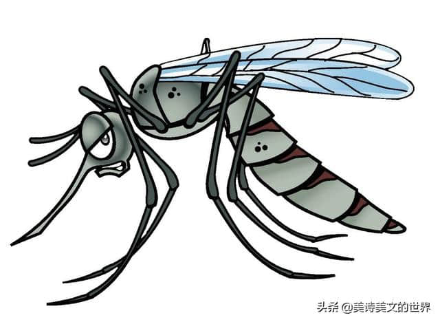 韩愈和范仲淹专门为蚊子写的趣诗，看似诙谐，却写出了人生大智慧
