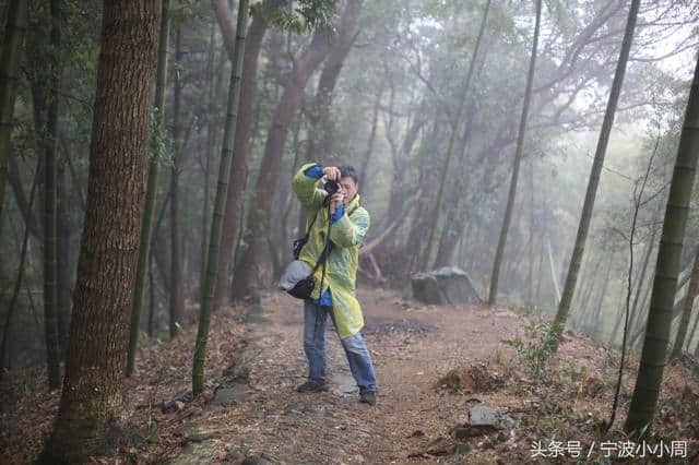 宁波 天童寺 天童国家森林公园 太白山 古天童徒步