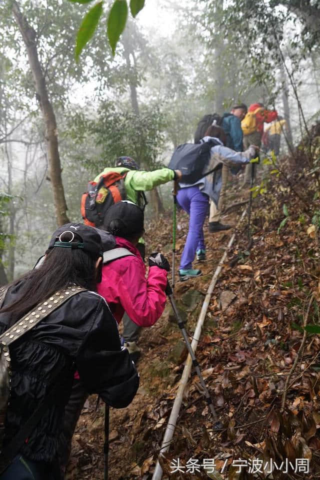 宁波 天童寺 天童国家森林公园 太白山 古天童徒步