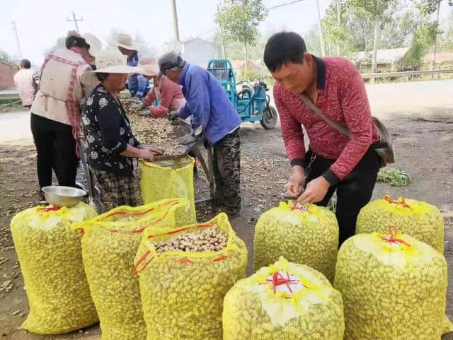 天凉好个秋，一起到沭阳感受收获之美