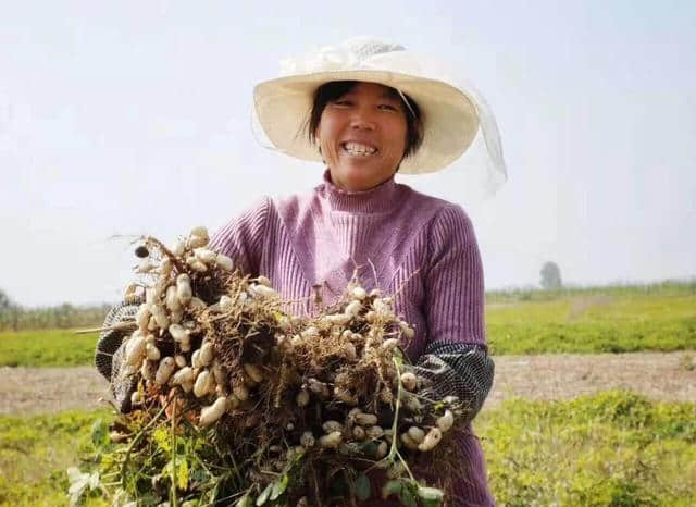 天凉好个秋，一起到沭阳感受收获之美