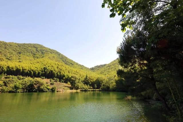 天童岭古道，竹林青翠，流水潺潺