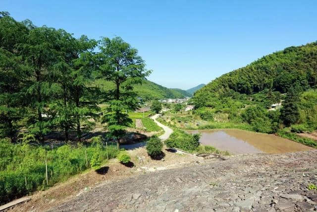 天童岭古道，竹林青翠，流水潺潺