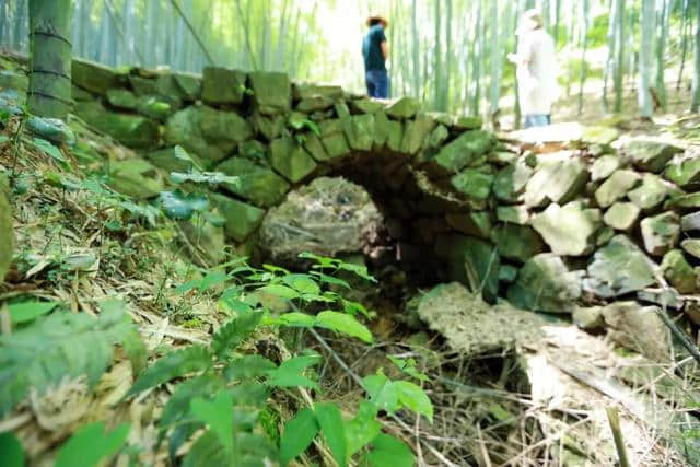 天童岭古道，竹林青翠，流水潺潺