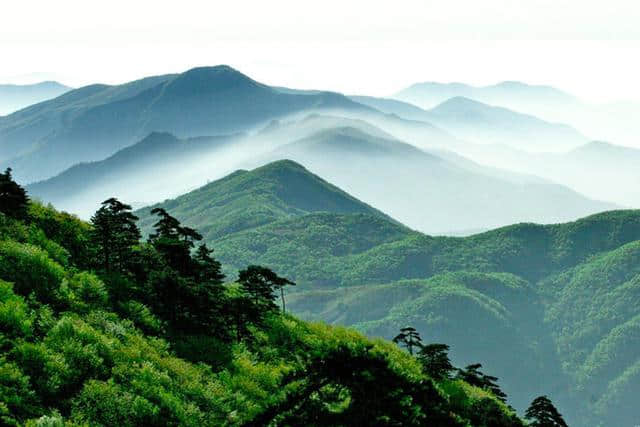 放暑假了，喜欢漂流就来这里，“大树华盖闻九州”的天目山