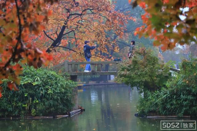 天平山枫叶即将进入最佳观赏期，去之前一定先看看这个…