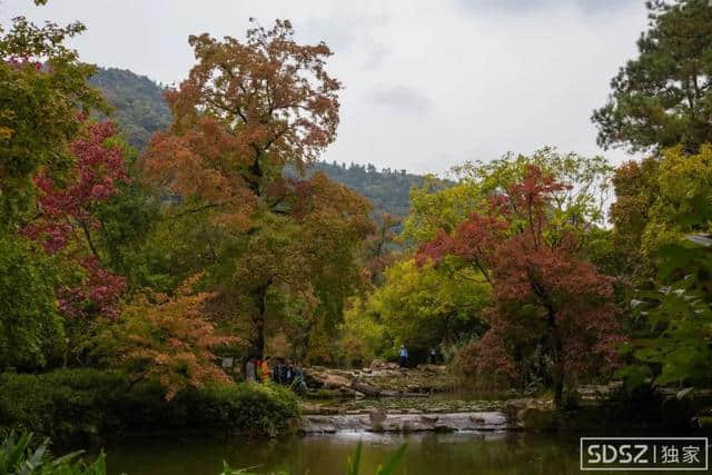 天平山枫叶即将进入最佳观赏期，去之前一定先看看这个…