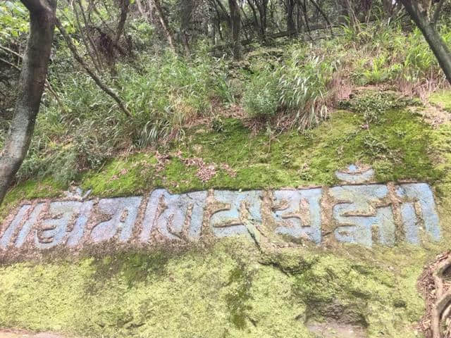 「景区｜宁波镇海半日游」浙东门户——招宝山