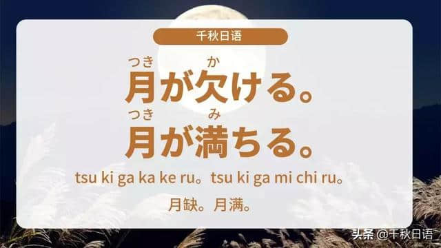 「月亮的句子」月缺。月满。人有悲欢离合，月有阴晴圆缺