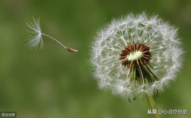 适合早上发朋友圈的句子