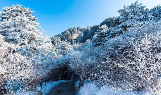 描写雪景的诗词~