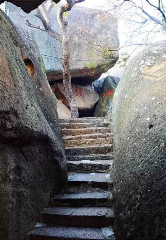 漳浦藏着这样一个小镇，简直太美了……