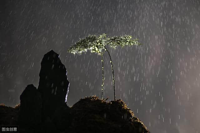 描写（雨）的古诗词100卷 红楼隔雨相望冷，珠箔飘灯独自归