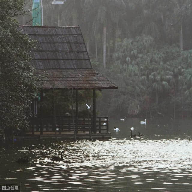 描写（雨）的古诗词100卷 红楼隔雨相望冷，珠箔飘灯独自归