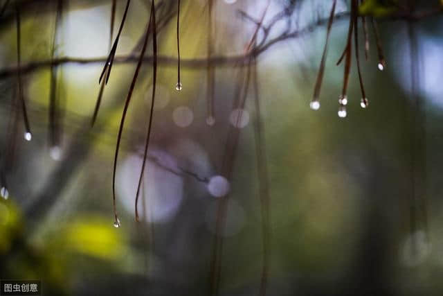 描写（雨）的古诗词100卷 红楼隔雨相望冷，珠箔飘灯独自归