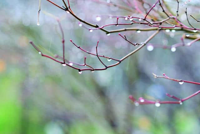 又到一年清明节送上清明节诗句十首