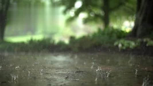 《描写雨的古诗》本文收集了中华上下2000年描写雨的诗 词 曲