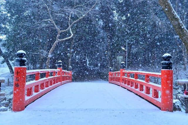 东北下雪了，这些写雪的好句好段抓紧收藏起来吧