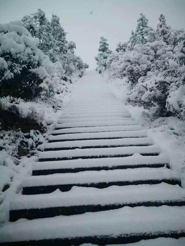 东北下雪了，这些写雪的好句好段抓紧收藏起来吧