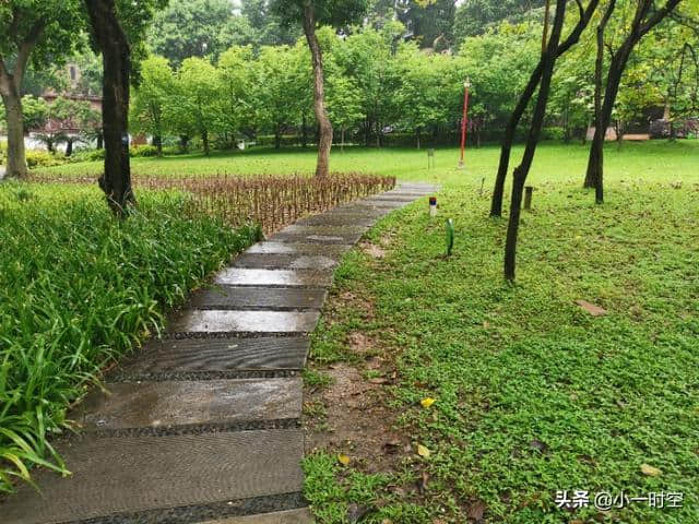 一景一诗：天街小雨润如酥，草色遥看近却无