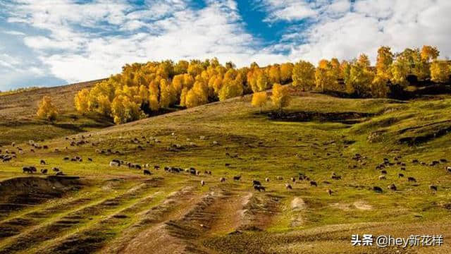 “西域水秀山清，神州天高地迥”——旅游地阿勒泰地区！